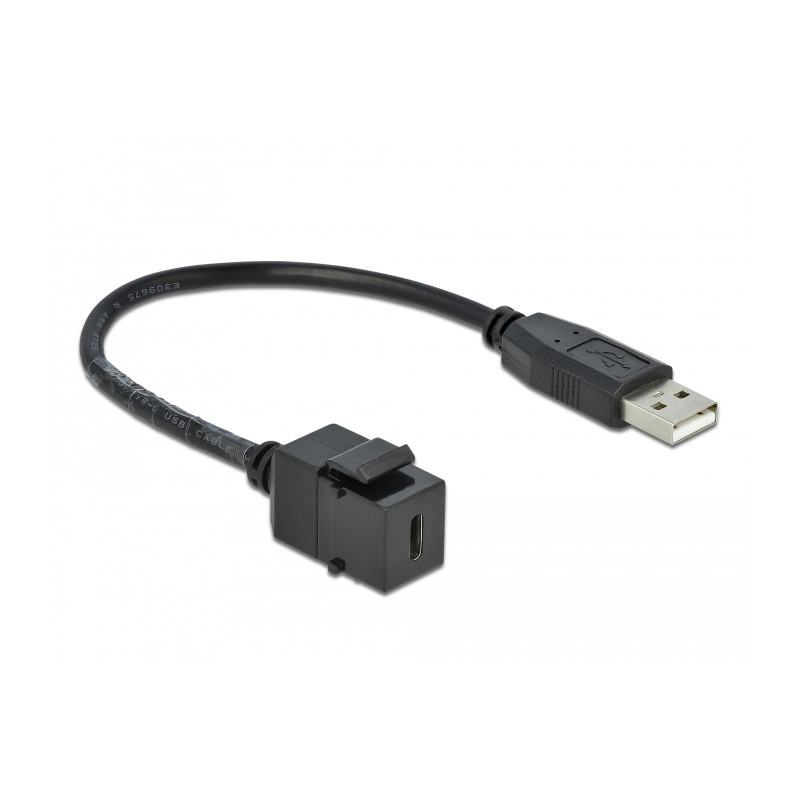 Delock Keystone Modul USB 2.0 C Buchse - USB 2.0 A Stecker mit Kabel