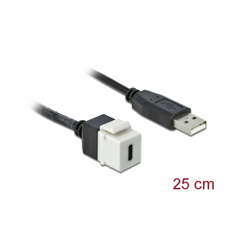 Delock Keystone Modul USB 2.0 C Buchse - USB 2.0 A Stecker mit Kabel
