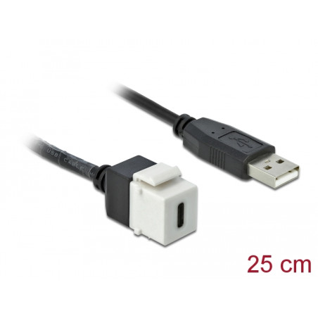 Delock Keystone Modul USB 2.0 C Buchse - USB 2.0 A Stecker mit Kabel