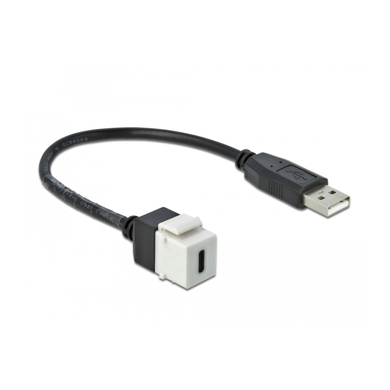 Delock Keystone Modul USB 2.0 C Buchse - USB 2.0 A Stecker mit Kabel