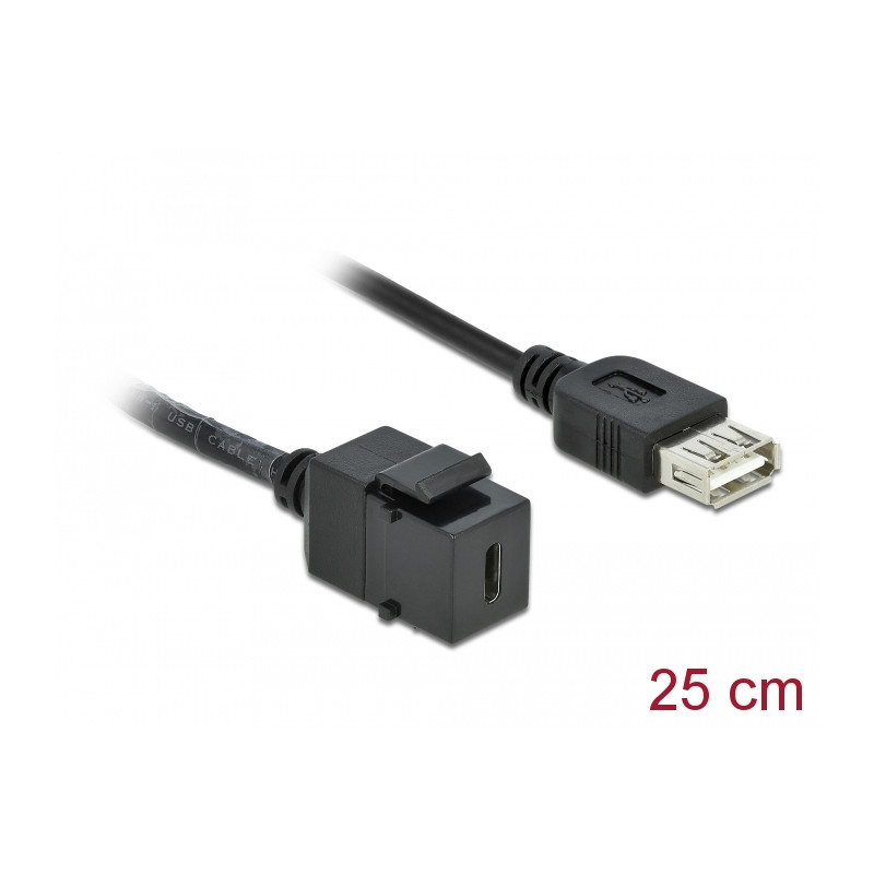 Delock Keystone Modul USB 2.0 C Buchse - USB 2.0 A Buchse mit Kabel