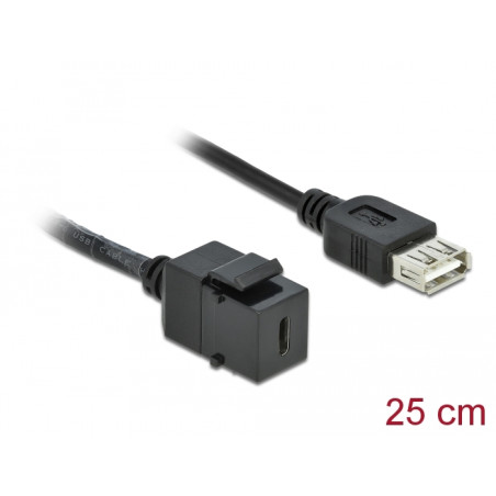 Delock Keystone Modul USB 2.0 C Buchse - USB 2.0 A Buchse mit Kabel