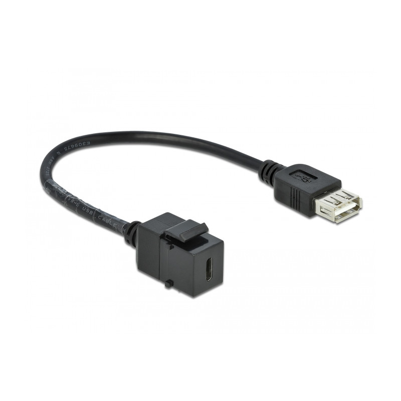 Delock Keystone Modul USB 2.0 C Buchse - USB 2.0 A Buchse mit Kabel