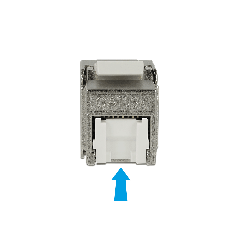Delock Keystone Modul RJ45 Buchse - LSA Cat.6A STP Staubschutz