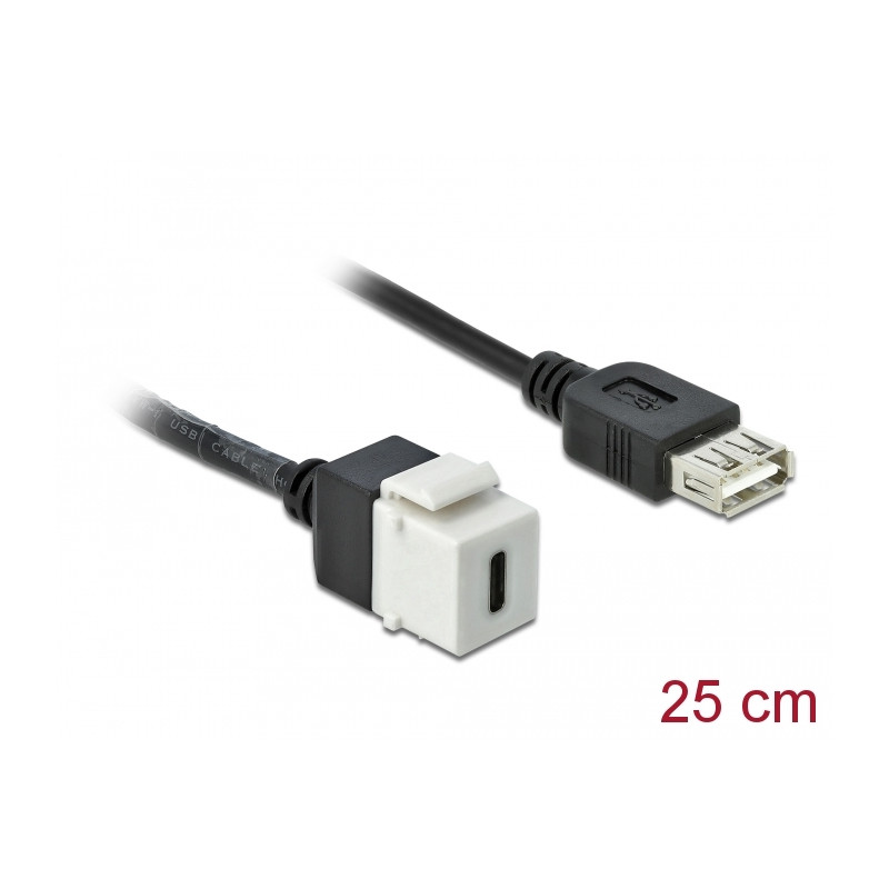 Delock Keystone Modul USB 2.0 C Buchse - USB 2.0 A Buchse mit Kabel