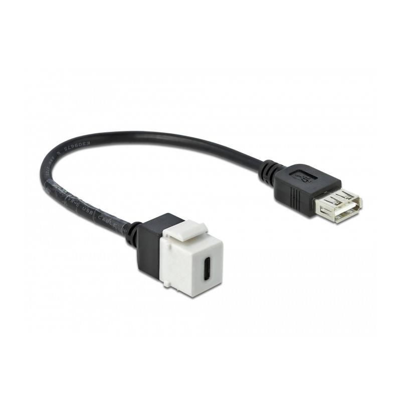 Delock Keystone Modul USB 2.0 C Buchse - USB 2.0 A Buchse mit Kabel