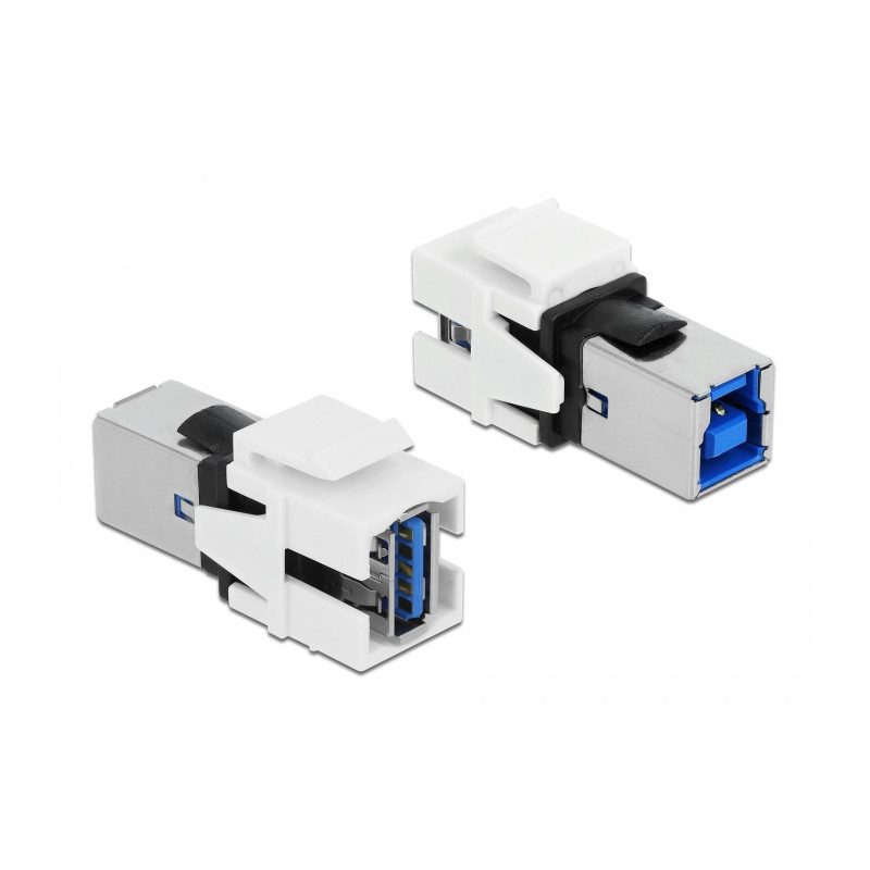 Delock Keystone Modul USB 5 Gbps A Buchse - USB 5 Gbps B Buchse weiß