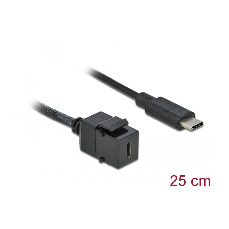 Delock Keystone Modul USB 5 Gbps Type-C™ Buchse zu USB Type-C™ Stecker mit Kabel 25 cm