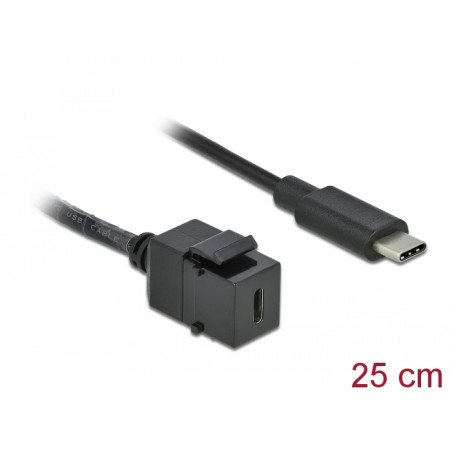 Delock Keystone Modul USB 5 Gbps Type-C™ Buchse zu USB Type-C™ Stecker mit Kabel 25 cm