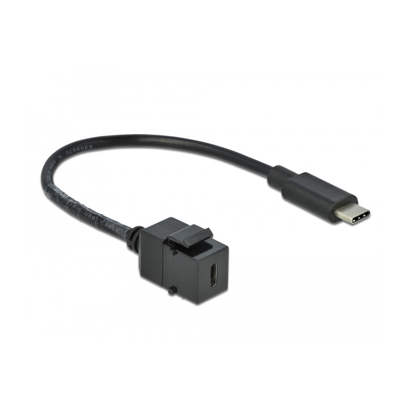 Delock Keystone Modul USB 5 Gbps Type-C™ Buchse zu USB Type-C™ Stecker mit Kabel 25 cm