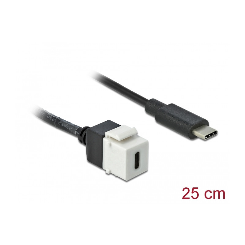 Delock Keystone Modul USB 5 Gbps Type-C™ Buchse zu USB Type-C™ Stecker mit Kabel 25 cm