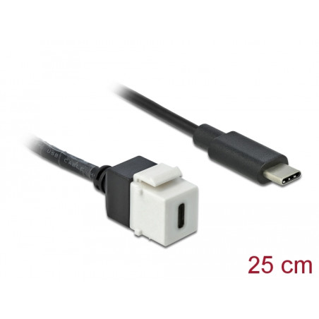 Delock Keystone Modul USB 5 Gbps Type-C™ Buchse zu USB Type-C™ Stecker mit Kabel 25 cm