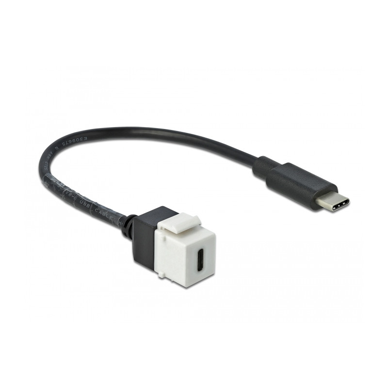 Delock Keystone Modul USB 5 Gbps Type-C™ Buchse zu USB Type-C™ Stecker mit Kabel 25 cm