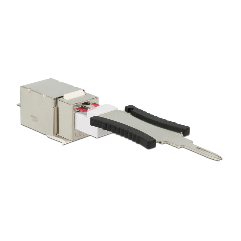 Delock Keystone Modul RJ45 Secure Cat.6 - LSA