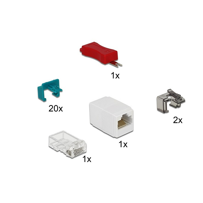 Delock RJ45 Secure Clip Starter Set 20 Stück