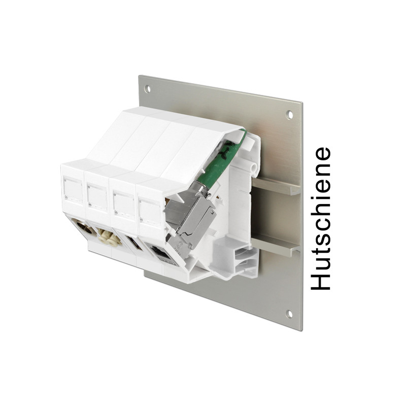 Delock Keystone Halterung für Hutschienen 180°