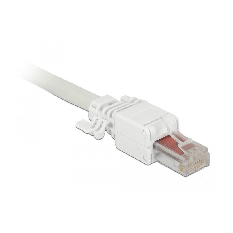 Delock RJ45 Stecker Cat.6 UTP werkzeugfrei 2 Stück