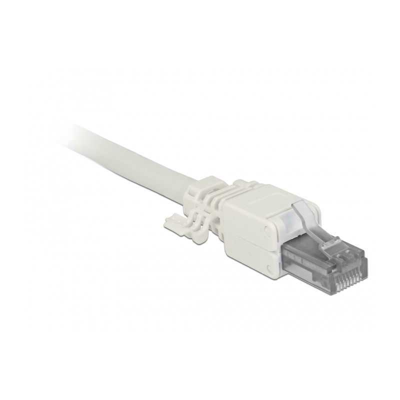 Delock RJ45 Stecker Cat.6A UTP werkzeugfrei 2 Stück