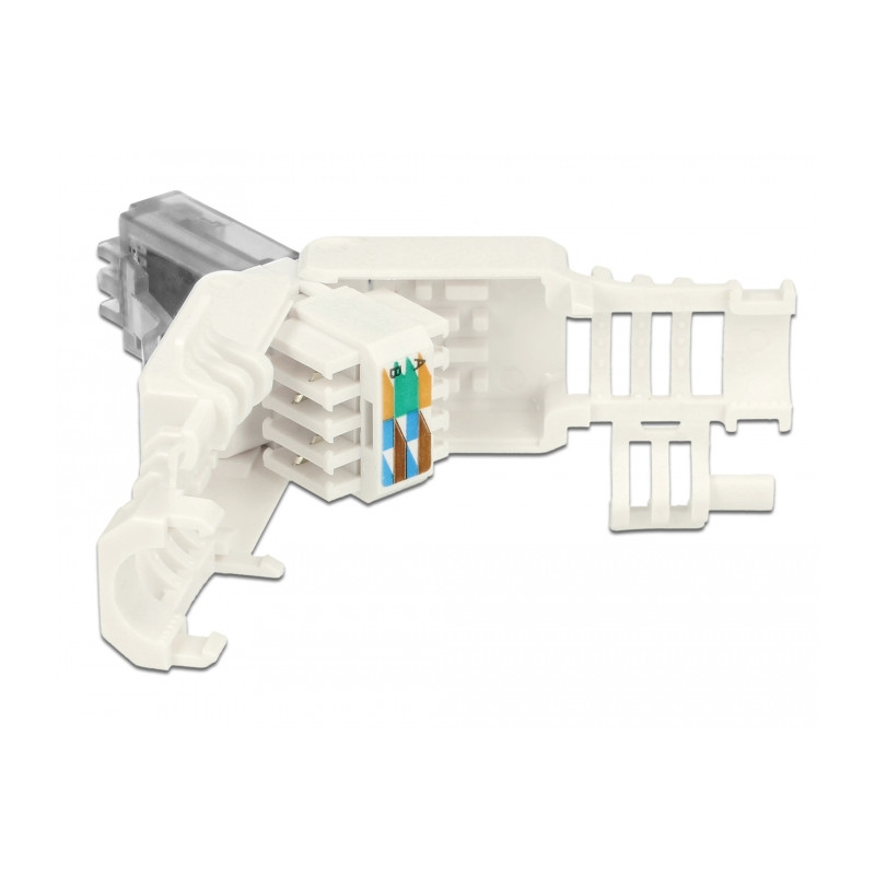 Delock RJ45 Stecker Cat.6A UTP werkzeugfrei 2 Stück
