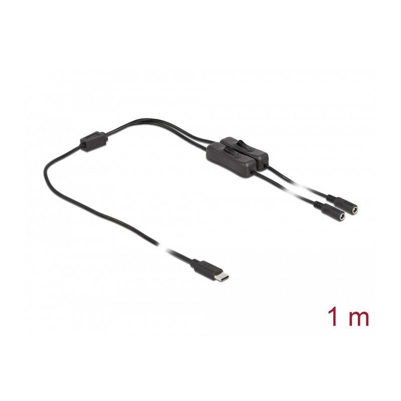 Delock Kabel USB Type-C™ Stecker zu 2 x DC 5,5 x 2,1 mm Buchse mit Schalter 1 m