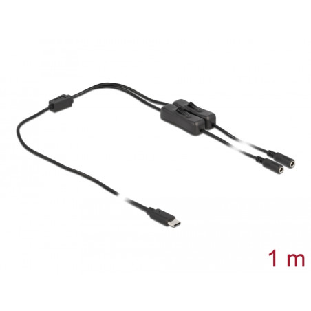 Delock Kabel USB Type-C™ Stecker zu 2 x DC 5,5 x 2,1 mm Buchse mit Schalter 1 m