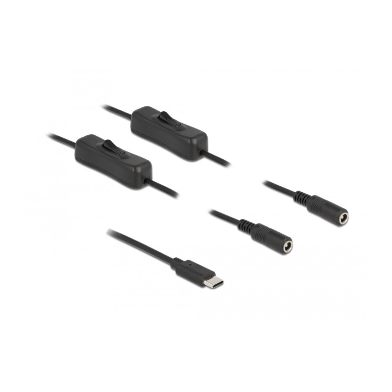Delock Kabel USB Type-C™ Stecker zu 2 x DC 5,5 x 2,1 mm Buchse mit Schalter 1 m