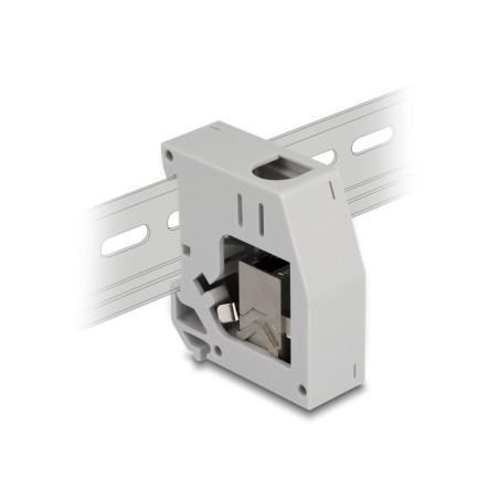 Delock Hutschienenadapter mit Keystone Modul RJ45 Buchse zu RJ45 Buchse Cat.6A