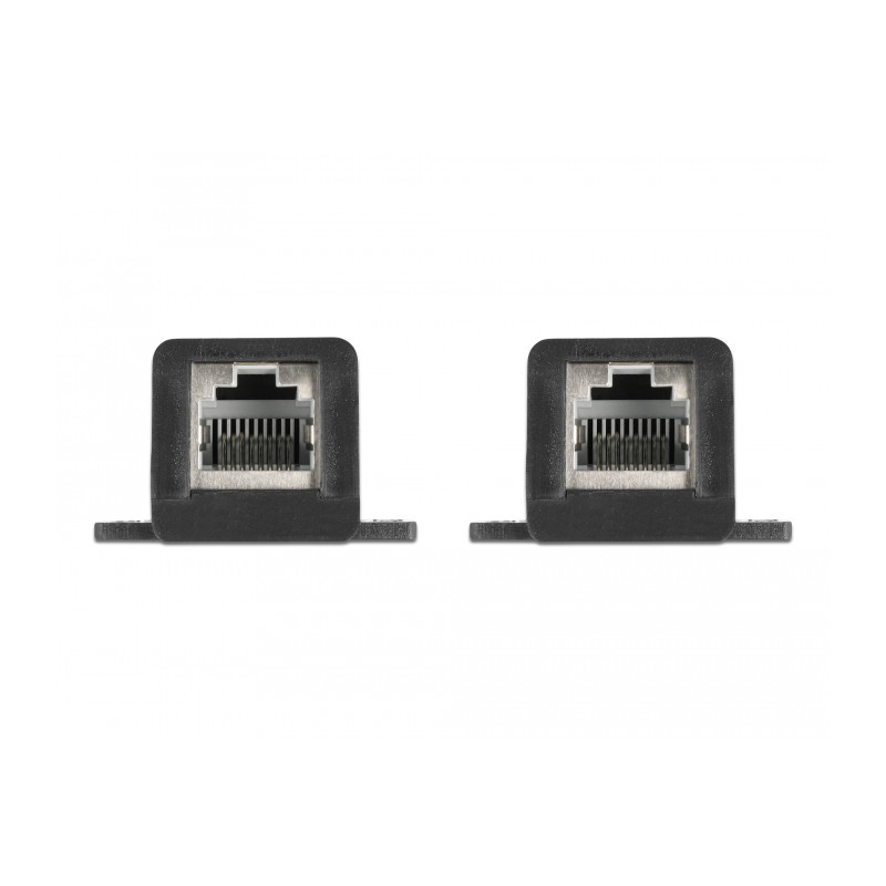 Delock RJ45 FPC (Flexible Printed Circuit) Fensterdurchführung 30 cm