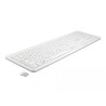 Delock USB Tastatur 2,4 GHz kabellos weiß (flach)