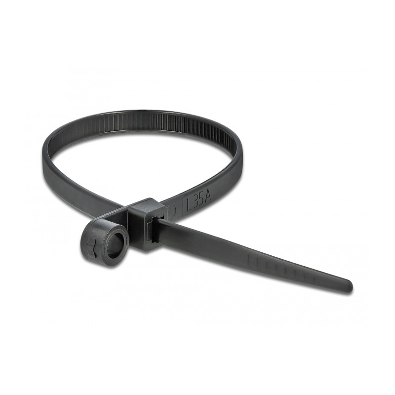Delock Kabelbinder mit Befestigungsöse L 160 x B 4,8 mm schwarz 10 Stück
