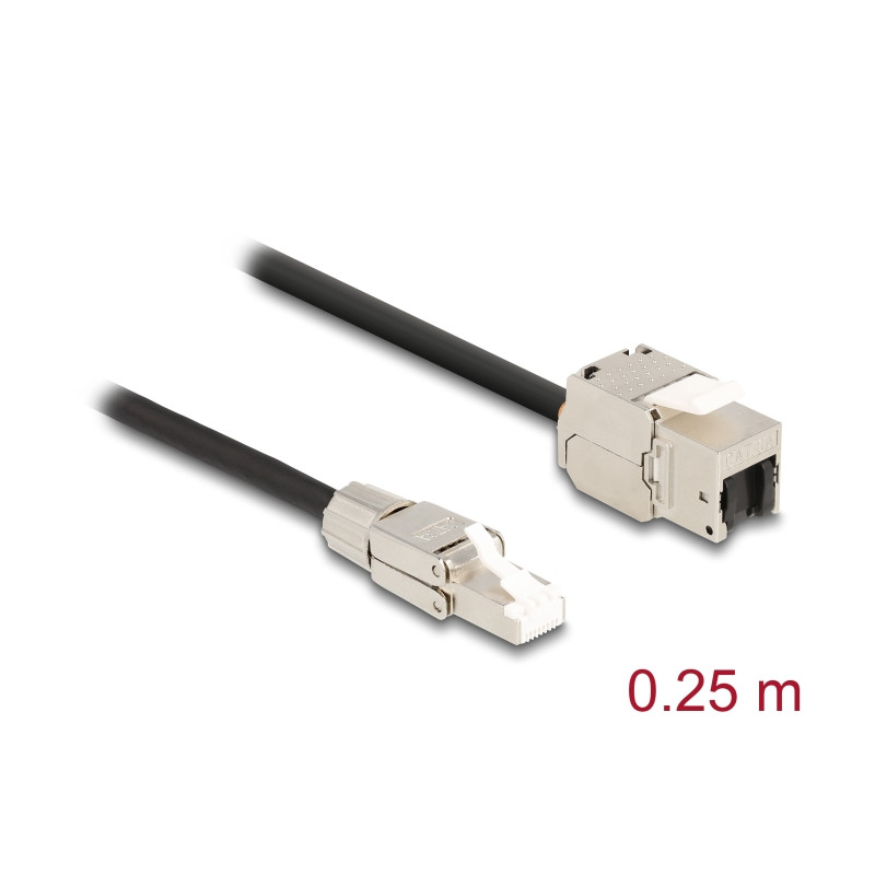 Delock Kabel RJ45 Stecker feldkonfektionierbar zu Keystone Modul RJ45 Buchse Cat.6A 25 cm