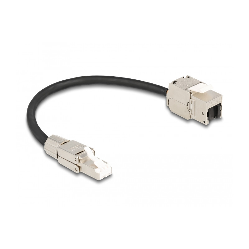 Delock Kabel RJ45 Stecker feldkonfektionierbar zu Keystone Modul RJ45 Buchse Cat.6A 25 cm