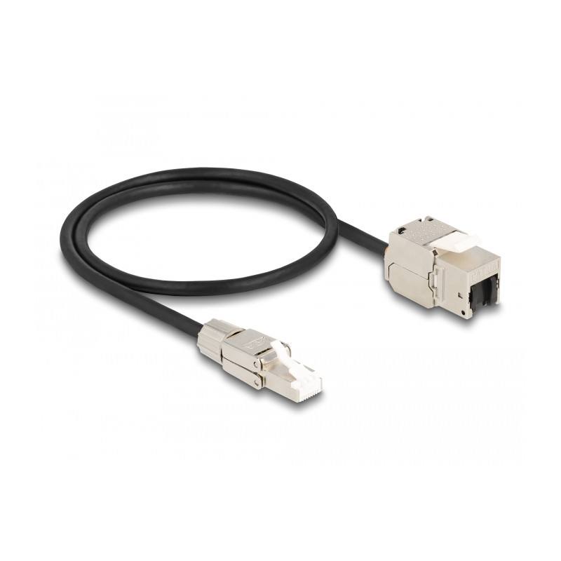 Delock Kabel RJ45 Stecker feldkonfektionierbar zu Keystone Modul RJ45 Buchse Cat.6A 50 cm