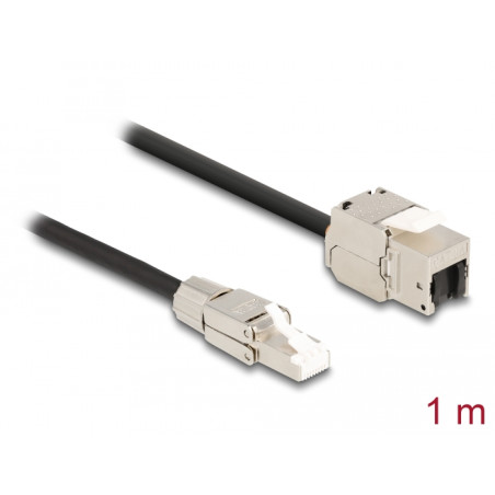 Delock Kabel RJ45 Stecker feldkonfektionierbar zu Keystone Modul RJ45 Buchse Cat.6A 1 m