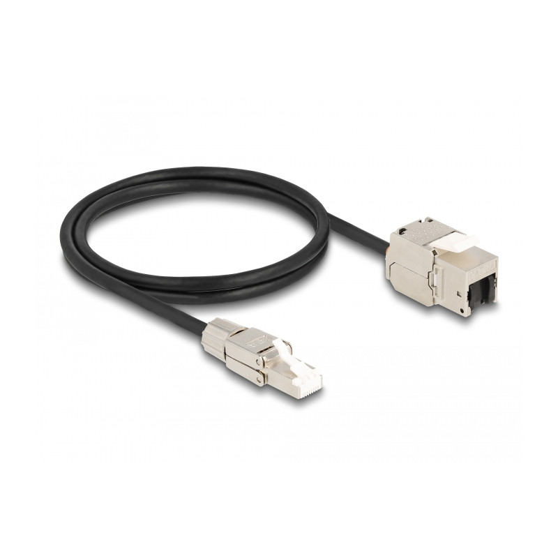 Delock Kabel RJ45 Stecker feldkonfektionierbar zu Keystone Modul RJ45 Buchse Cat.6A 1 m