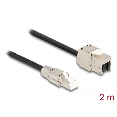 Delock Kabel RJ45 Stecker feldkonfektionierbar zu Keystone Modul RJ45 Buchse Cat.6A 2 m