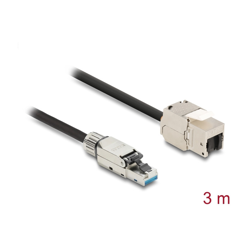 Delock Kabel RJ45 Stecker feldkonfektionierbar zu Keystone Modul RJ45 Buchse Cat.6A 3 m