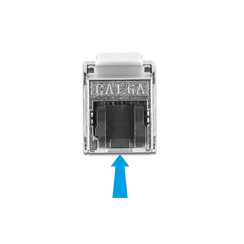Delock Kabel RJ45 Stecker feldkonfektionierbar zu Keystone Modul RJ45 Buchse Cat.6A 3 m