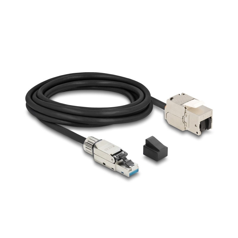 Delock Kabel RJ45 Stecker feldkonfektionierbar zu Keystone Modul RJ45 Buchse Cat.6A 3 m