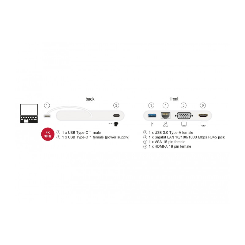 Delock USB Type-C™ 3.1 Dockingstation HDMI 4K 30 Hz + VGA + LAN + USB PD