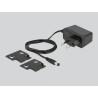 Delock 2,5 Gigabit Ethernet Switch 5 Port