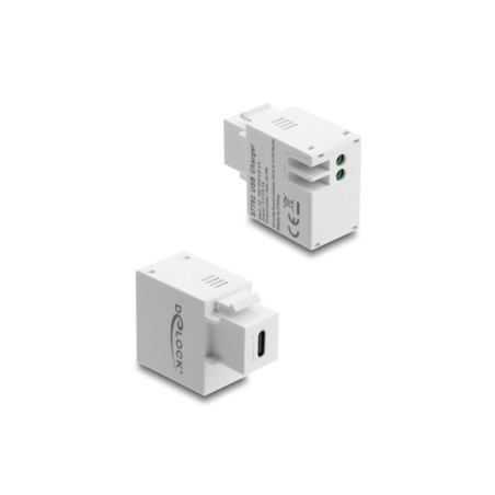 Delock Keystone Modul mit USB Type-C™ Ladebuchse 10,5 W weiß