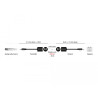 Delock Stereo Audio Extender RJ45 Buchse zu 3,5 mm Klinkenstecker Cat.5 bis 50 m Set 2 Stück