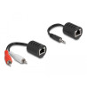Delock Stereo Audio Extender RJ45 Buchse zu 3,5 mm Klinkenstecker und RJ45 Buchse zu 2 x Cinch Stecker Cat.5 bis 50 m Set 2 Stüc