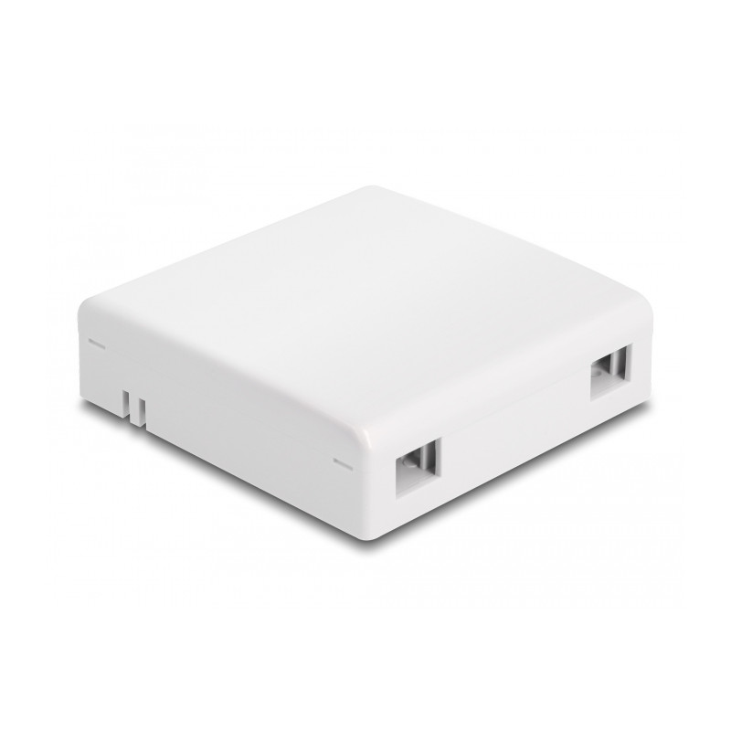 Delock LWL Anschlussdose zur Wandmontage für 2 x SC Simplex oder LC Duplex weiß