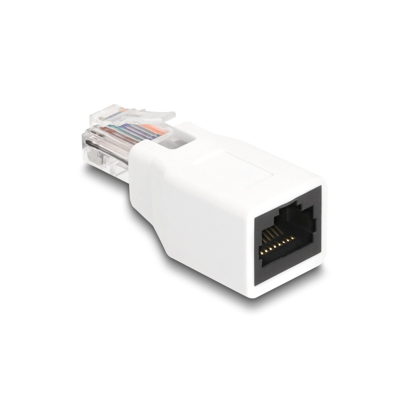 Delock RJ50 Adapter Stecker zu Buchse weiß