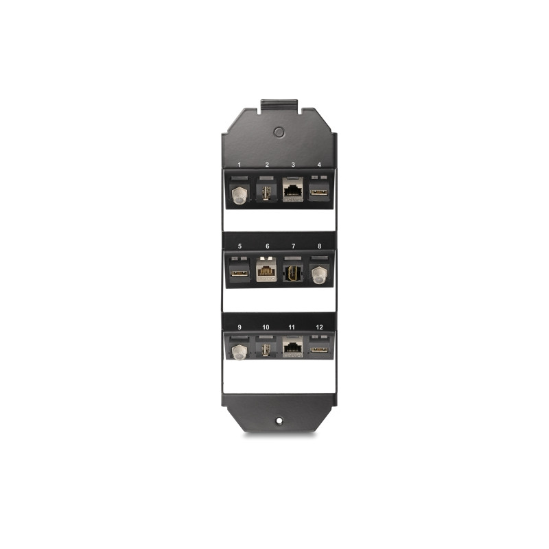 Delock Keystone Halterung 12 Port für Bodentank