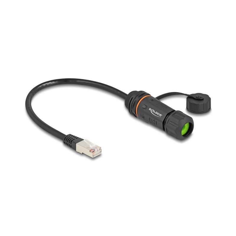Delock Kabel RJ45 Stecker zu RJ45 Buchse Cat.6A zum Einbau mit M20 Gewinde und Gehäuse IP68 staub- und wasserdicht 25 cm schwarz