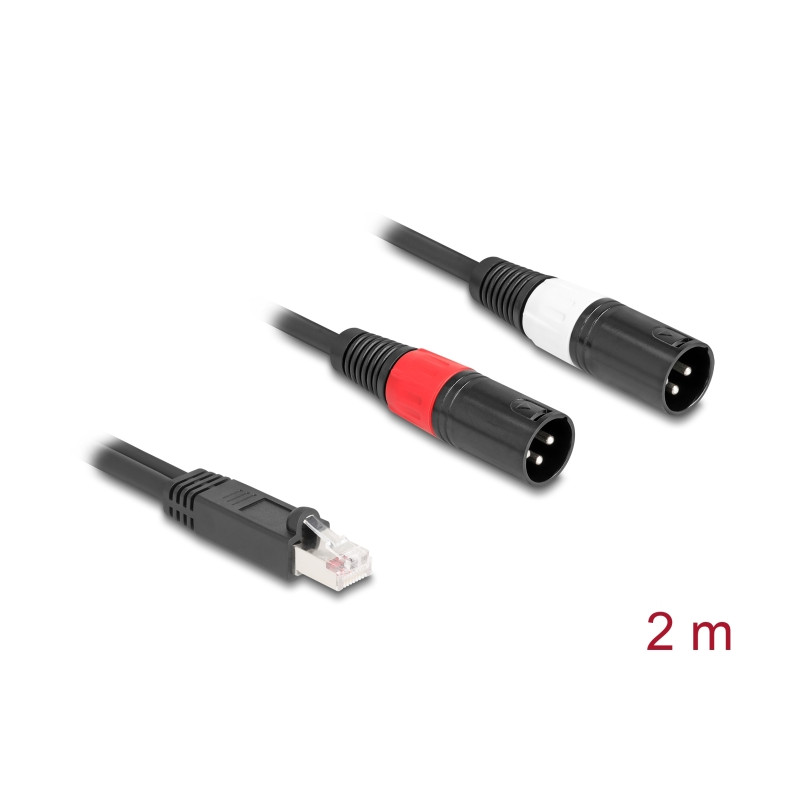 Delock Adapterkabel RJ45 Stecker zu 2 x XLR 3 Pin Stecker schwarz 2 m