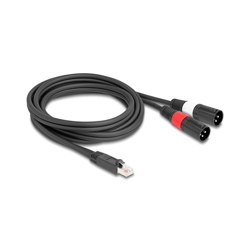 Delock Adapterkabel RJ45 Stecker zu 2 x XLR 3 Pin Stecker schwarz 2 m